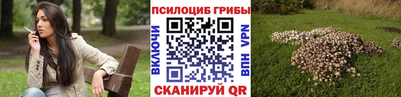 Галлюциногенные грибы Psilocybine cubensis Жуковка
